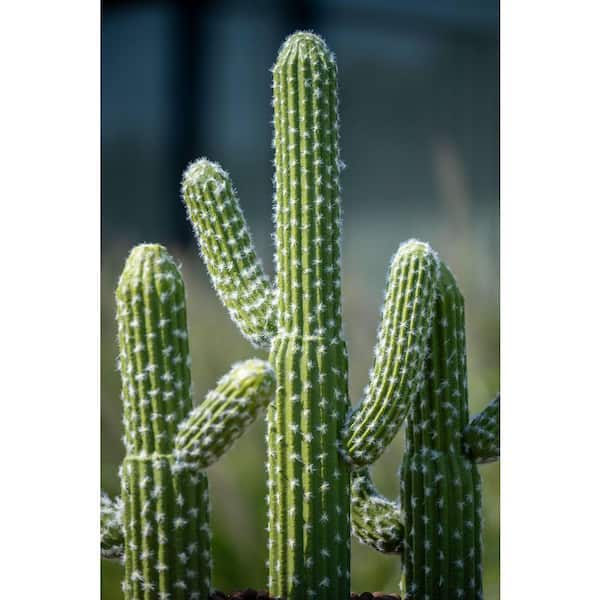 PotteryPots Cactus Saguaro 24.18 in.H Green Color Planter-made of