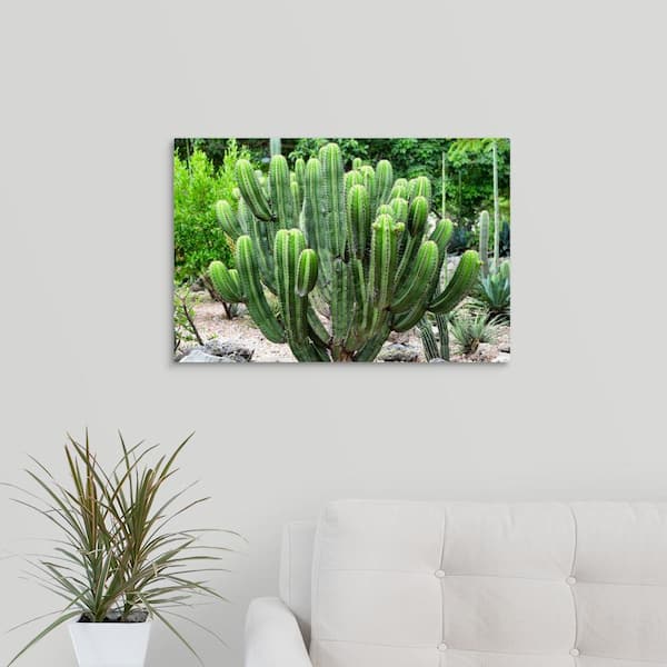 GreatBigCanvas "Saguaro Cactus" by Philippe Hugonnard Canvas Wall Art