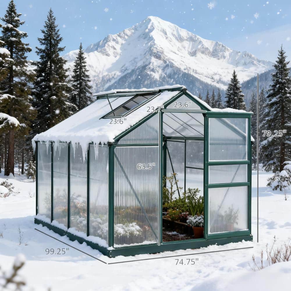 74.75 in. W x 99.25 in. D x 79.25 in. H Green Aluminum Outdoor Walk-in Greenhouse price history on PriceWatchPro
