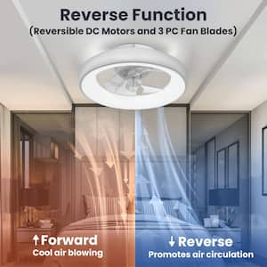 20 in. Indoor Ceiling Fan with Light Remote and APP Control, 6 Wind Speeds Smart Modern Ceiling Fan for Bedroom(White)