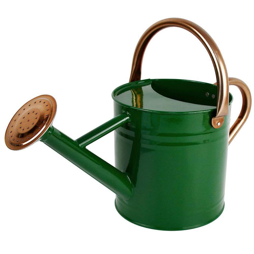 Dyiom Half Gal. Green Metal Watering Can with Removable Spout Rainwater Harvesting System