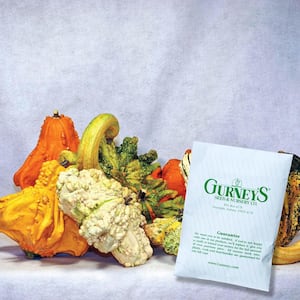 Gourd Gremlins Seeds (10 Seed Packet)