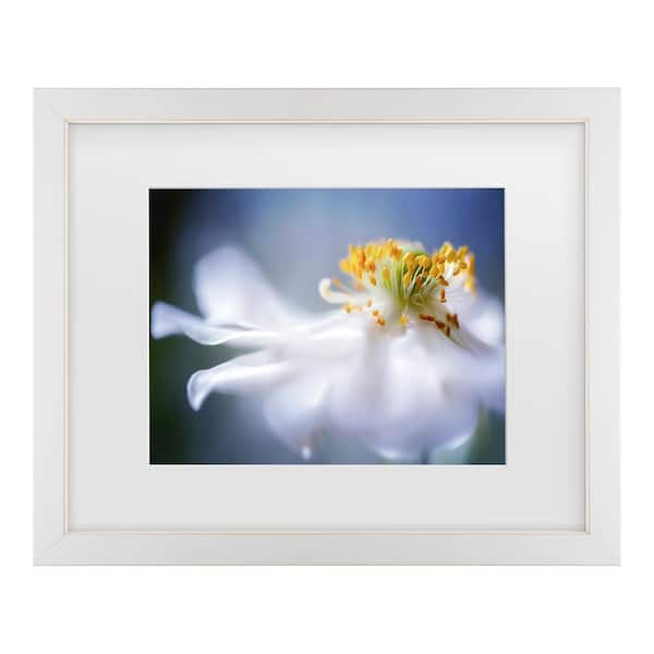 Trademark Fine Art Mandy Disher Anemone 1-Matted Framed Photography Wall Art 18 in. x 22 in.