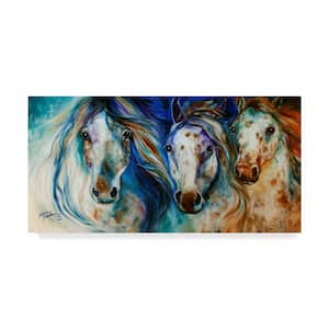 3 Wild Appaloosa Horses by Marcia Baldwin Hidden Frame Animal Wall Art 16 in. x 32 in.