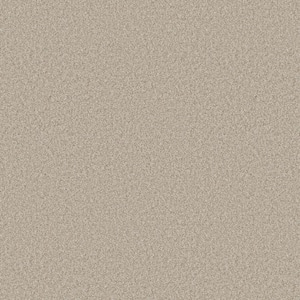 Rosemary I - Sandstone-Beige 12 ft. 42 oz. Polyester Texture Installed Carpet