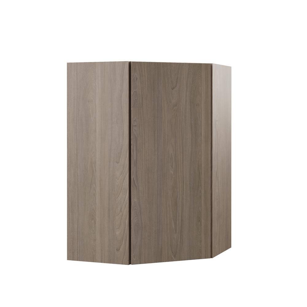 Designer Series Edgeley 24 in. W x 12 in. D x 36 in. H Assembled Slab Wall Diagonal Corner Cabinet in Driftwood price history on PriceWatchPro
