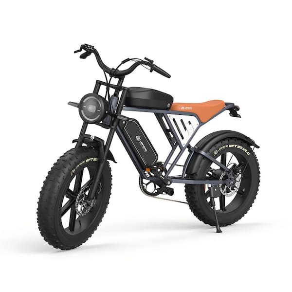 20 In. 750 W 48 V 34 A Fat Tires, 7-Speed 30 MPH Snow Beach Mountain Electric Bicycle