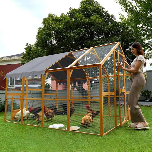 110 in. Large Yellow Wood Outdoor Chicken Coop Enclosures Kitten