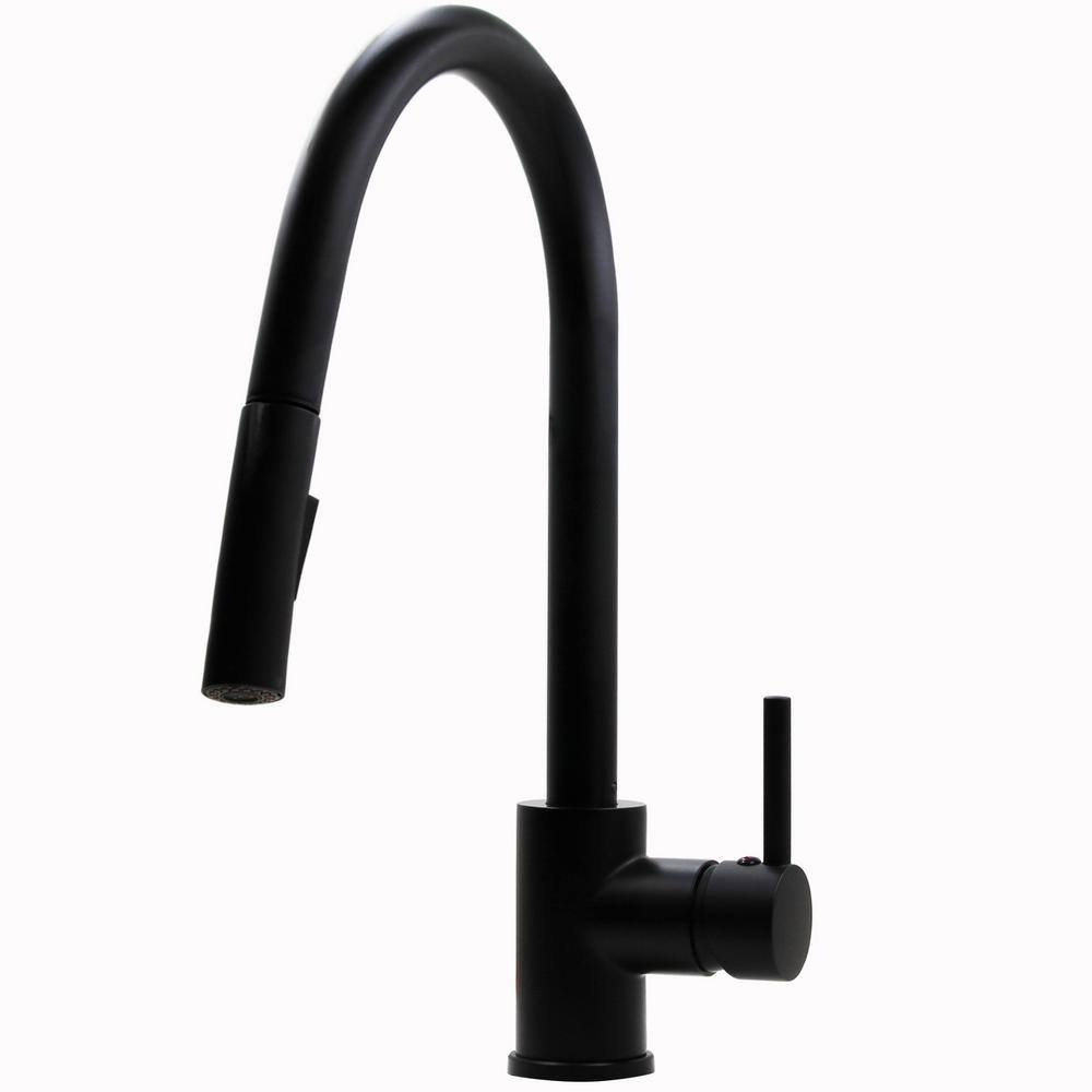 KEN Dual Action Single Handle Pull Down Sprayer Kitchen Faucet in Matte Black price history on PriceWatchPro