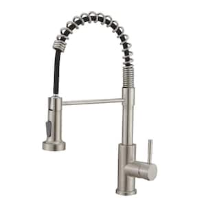 Single Handle Pull Down Sprayer Kitchen Faucet with Dual Function Spray head in Brushed Nickel