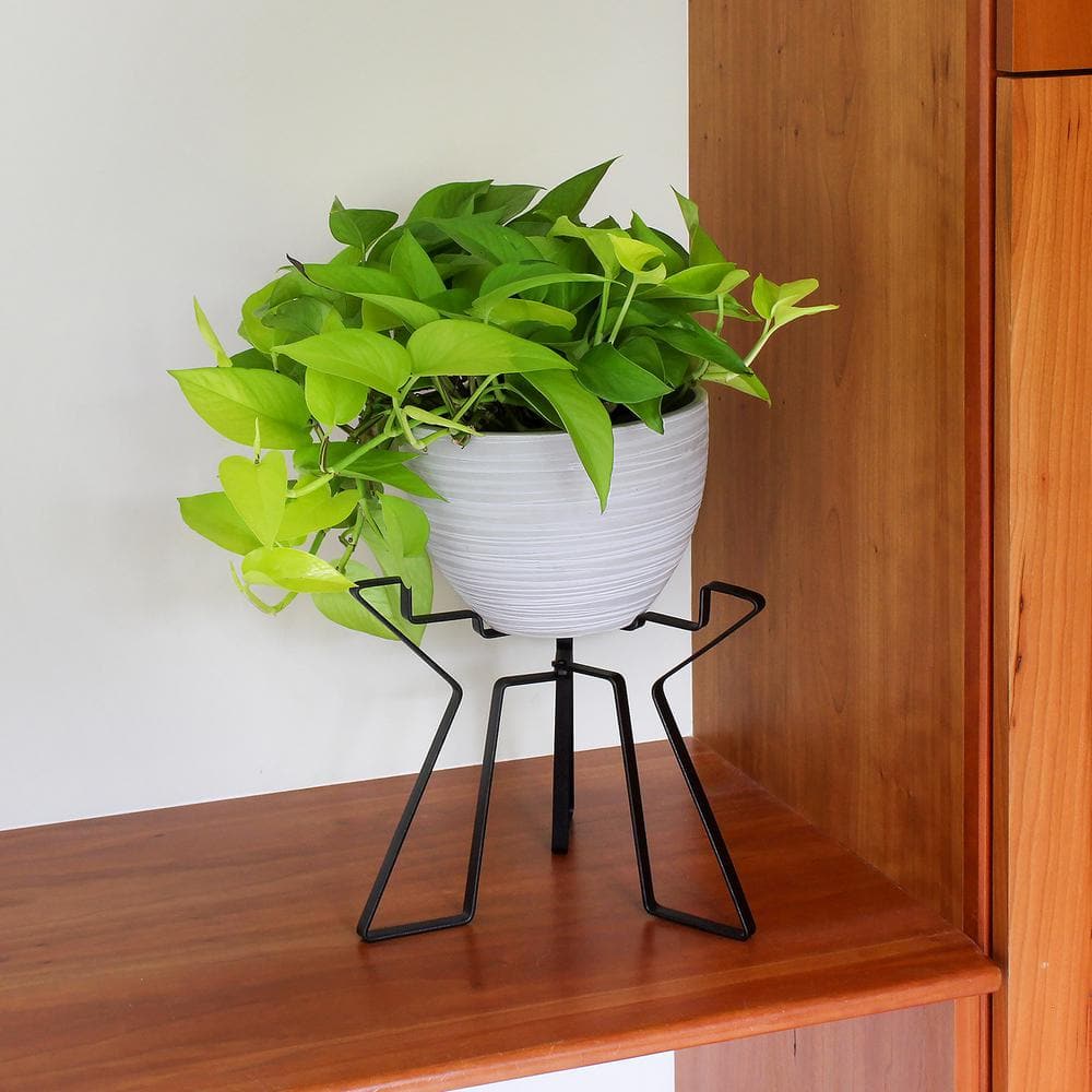 Black Wrought Iron Modern Folding Plant Stand