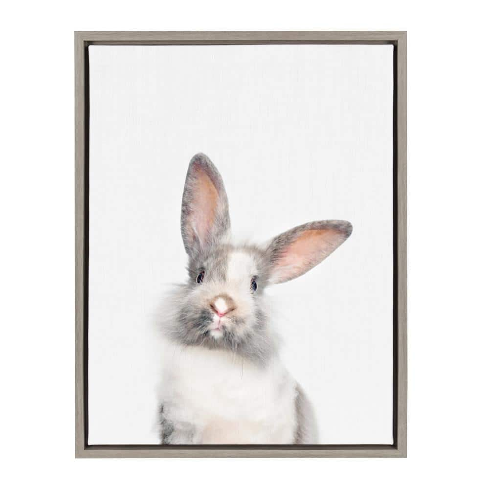 Rabbit CANVAS PAINTING KIT 4'*6' 6'*8' 8'*10' COMBO