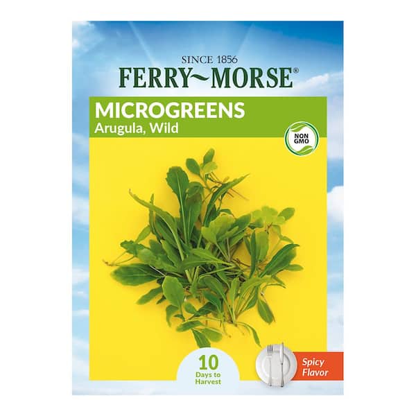Arugula Wild Micro-greens Vegetable Seeds