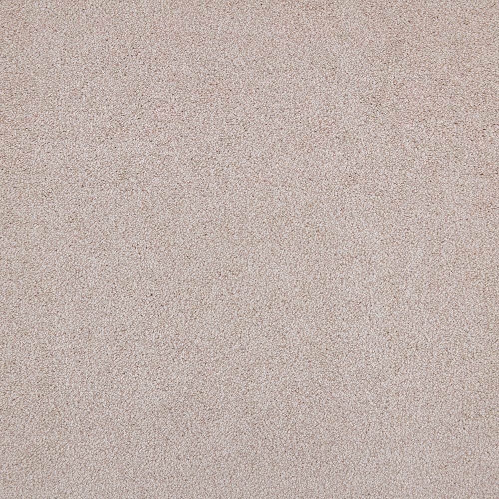 8 in. x 8 in. Texture Carpet Sample - Playful Moments II (S) -Color Silhouette price history on PriceWatchPro