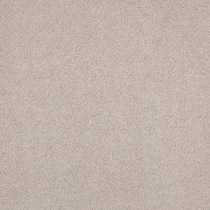 8 in. x 8 in. Texture Carpet Sample - Playful Moments II (S) -Color Silhouette