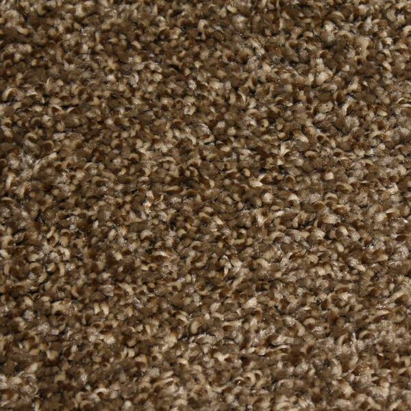 Home Decorators Collection 8 in. x 8 in. Texture Carpet Sample - Shackelford I -Color Inspiration