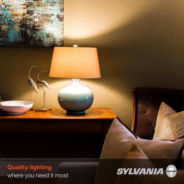 Everyday Living® 14-Watt (100-Watt) A19 LED Light Bulb - Soft