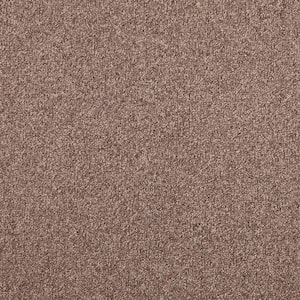Bradworth  - Timeless - Brown 15 ft. 31 oz. Polyester Loop Installed Carpet