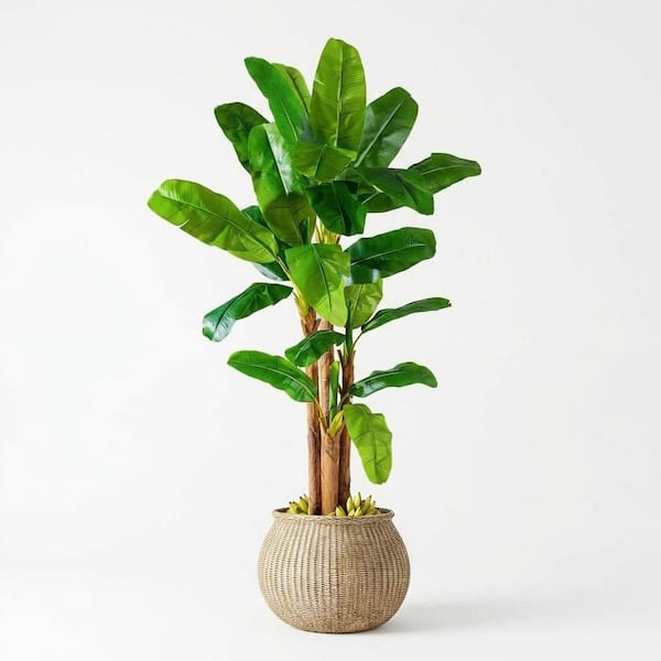 Afoxsos 8 in. 9FT Artificial Green Indoor Outdoor Banana Leaf Plant Faux  Banana Silk Tree for Home Patio Tropical Decor 59A1124A1557
