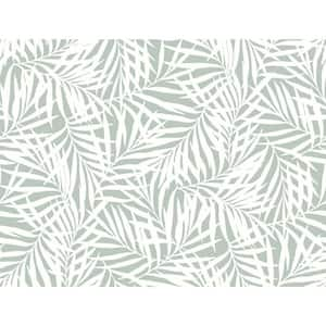 60.75 sq. ft. Oahu Fronds Wallpaper