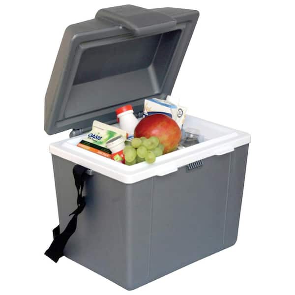 12V Electric Cooler/Warmer, 9L (9.8 qt.) Thermoelectric Car Fridge, Adjustable Strap, Gray
