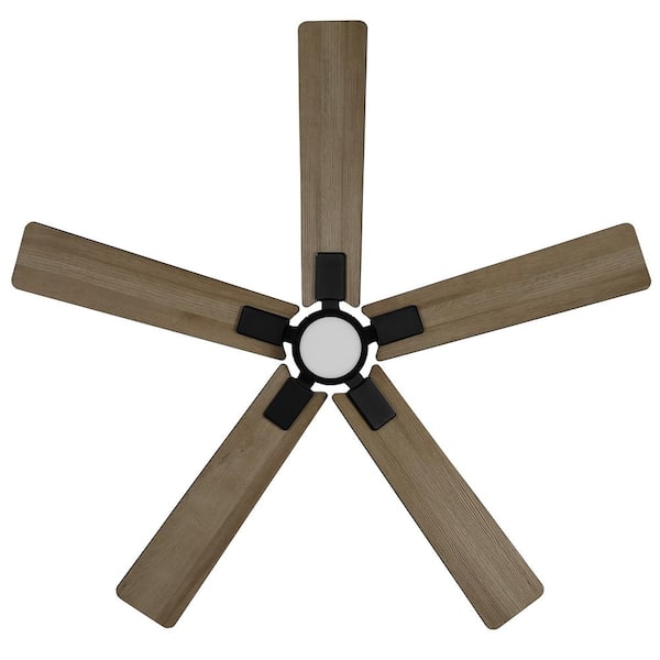 Hampton Bay - Zandra II 52 in. Indoor/Outdoor Matte Black Ceiling Fan with Light Kit and Remote Included Powered by Hubspace