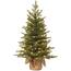 https://images.thdstatic.com/productImages/0c89161f-fe8d-478b-bad9-f72862de376f/svn/national-tree-company-pre-lit-christmas-trees-pens1-333-30-1-64_65.jpg