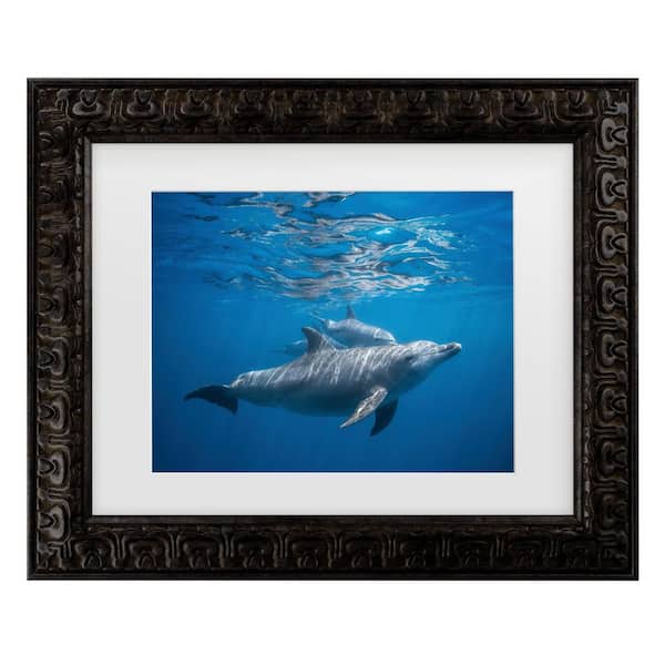 Trademark Fine Art Barathieu Gabriel Pod of Dolphin Matted Framed Photography Wall Art 14.5 in. x 17.5 in.