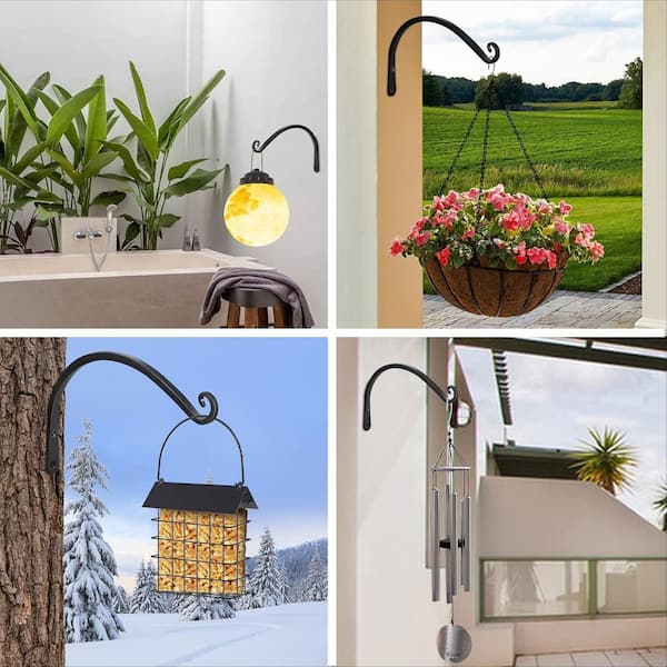 eucalyptus hanging plant Eucalyptus, Maiden Hair & Berry Hanging Basket (Set of 3)