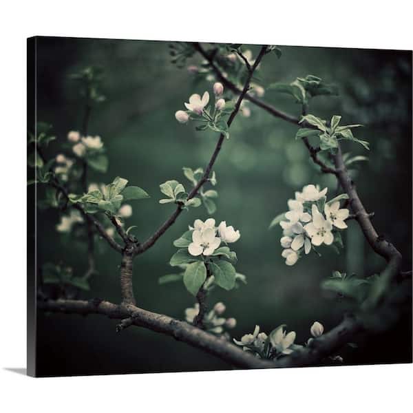 GreatBigCanvas "The Midnight Garden I" by Irene Suchocki Canvas Wall Art