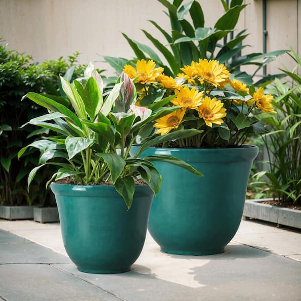 Have a question about Vigoro 22 in. W x 18 in. H Felecia Teal