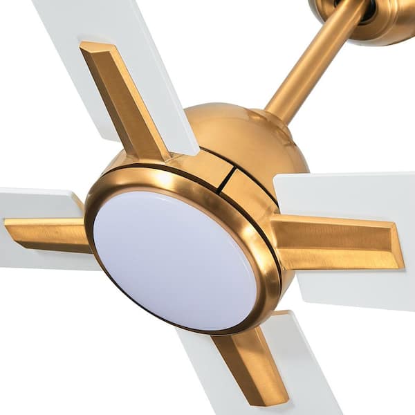 Parrot Uncle 48 in. Indoor Integrated LED Gold Ceiling Fan with
