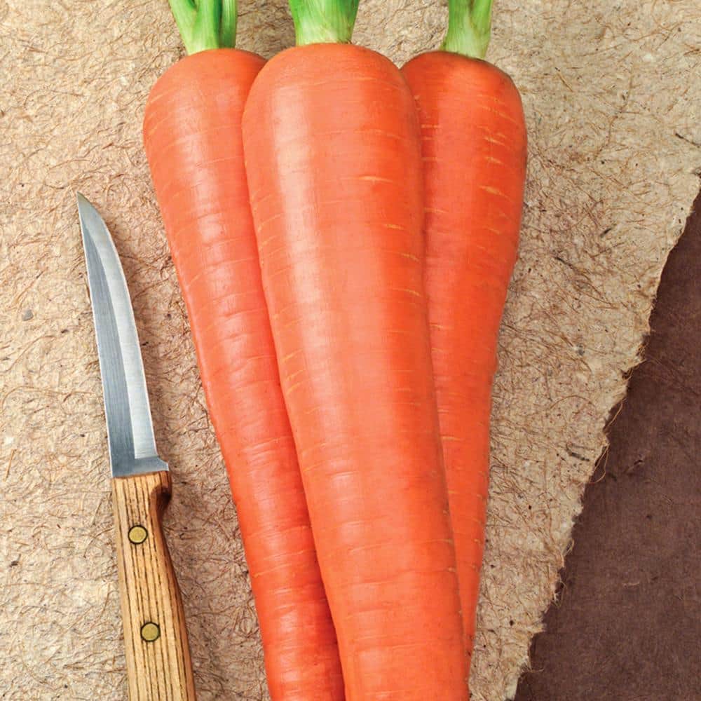Carrot Envy Hybrid (15 ft. Seed Tape) price history on PriceWatchPro