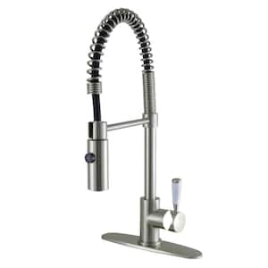 Paris Single-Handle Pull-Down Sprayer Kitchen Faucet in Brushed Nickel