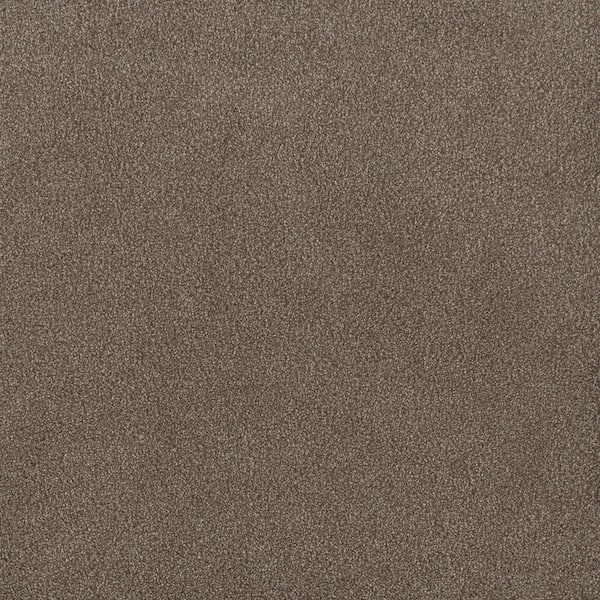Home Decorators Collection First Class II - Shire - Brown 50 oz. SD Polyester Texture Installed Carpet