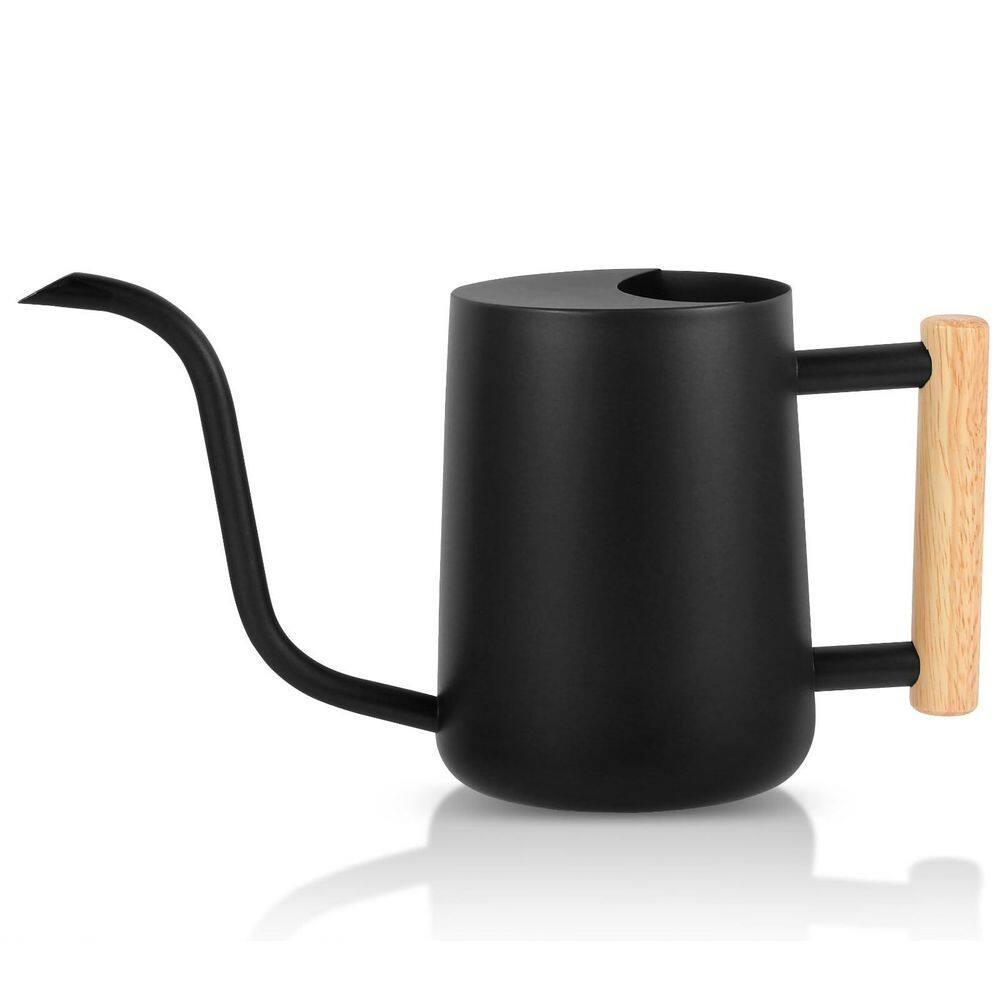 0.27 gal. Black Stainless Steel Watering Can with Long Gooseneck Spout and Wooden Handle for Indoor Outdoor Plants price history on PriceWatchPro