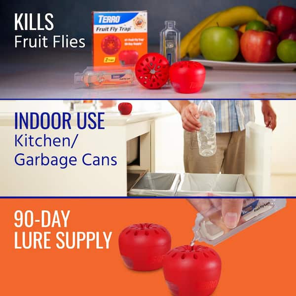 Ready-to-Use Indoor Fruit Fly Traps with Bait (2-Count) - Fast-acting, Non-Staining Lure Targeting Adult Fruit Flies