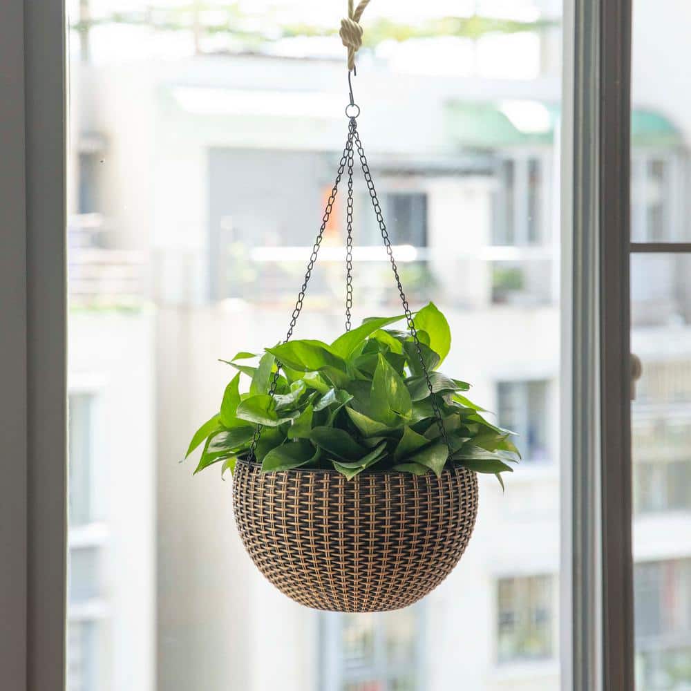10" Bronze Self-Watering Hanging Basket Planter with Pink Flowers