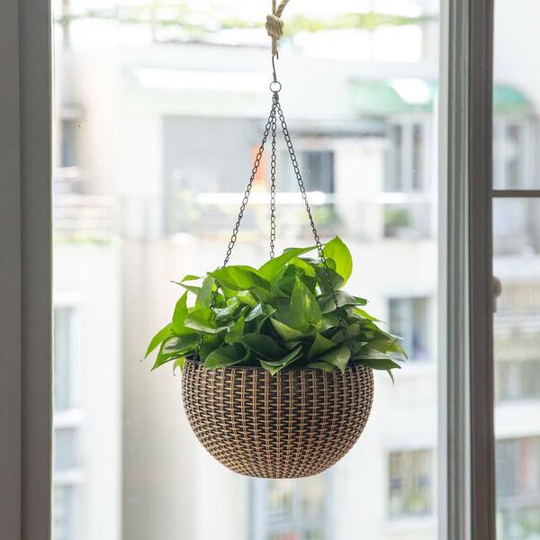 thumbnail image 2 of FRAKYEN Gold Hanging Planters For Indoor Plants 10 Inch With 2 of 14