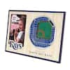 YouTheFan MLB Tampa Bay Rays 3D StadiumView Picture Frame - Tropicana Field  0950868 - The Home Depot