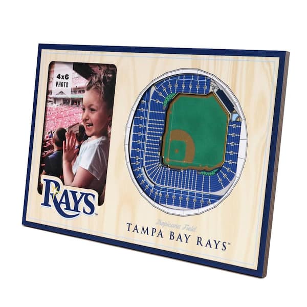YouTheFan MLB Tampa Bay Rays 3D StadiumView Picture Frame - Tropicana Field  0950868 - The Home Depot