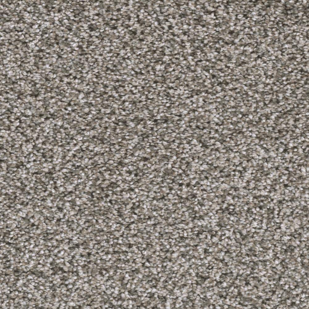 8 in. x 8 in. Texture Carpet Sample - Fall Skies I -Color Patchwork price history on PriceWatchPro
