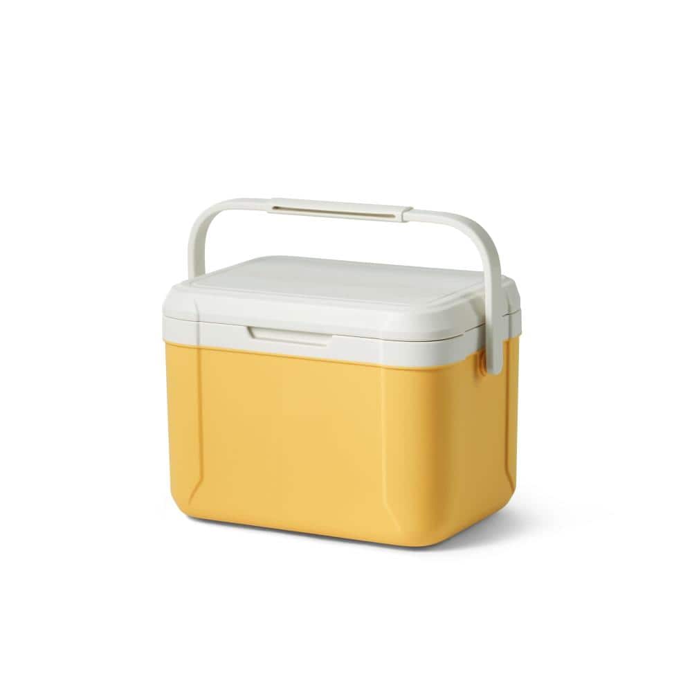 5.3 QT Hard Cooler, Insulated Ice Chest Box, Portable Ice