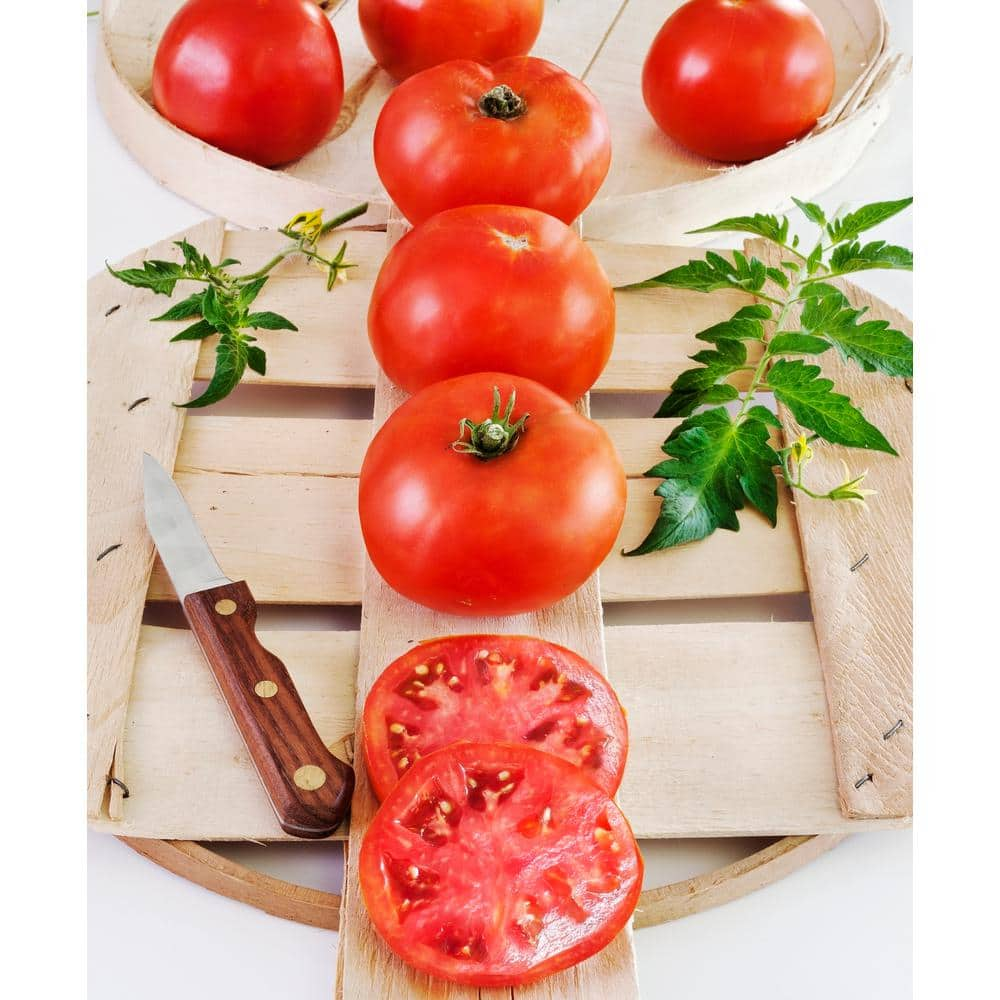 The Big Boy Cutting Board