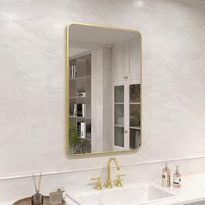 Vista 24 in. W x 36 in. H Rectangular Framed Wall Bathroom Vanity Mirror in Brushed Gold