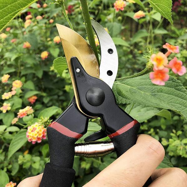Pocket Snips - Orange - Herb Tools | Gardener's Supply Company