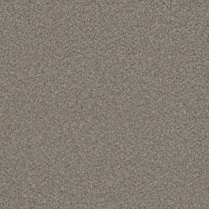 Trendy Threads Plus II - Decatur - Gray 48 oz. SD Polyester Texture Installed Carpet