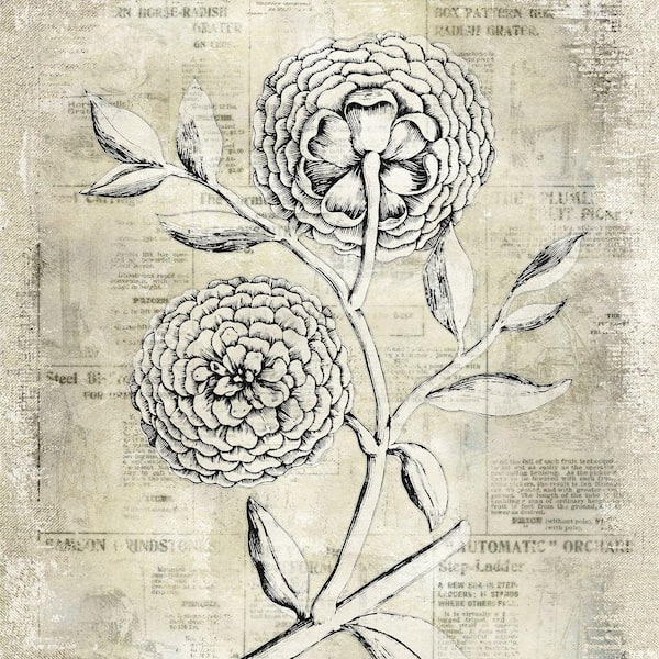Yosemite Home Decor 20 in. x 20 in. "Antiqued Bloom II" Printed Contemporary Artwork