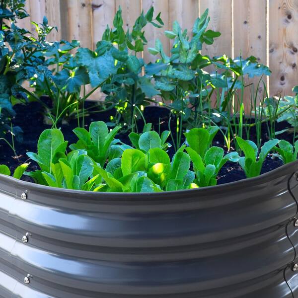3-Pack 2x2FT Galvanized Steel Raised Garden Beds – Round, Above Ground Planters