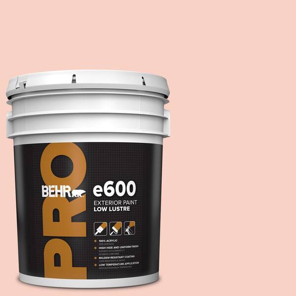 BEHR PRO 5 gal. #210C-2 Demure Pink Low Luster Exterior Paint